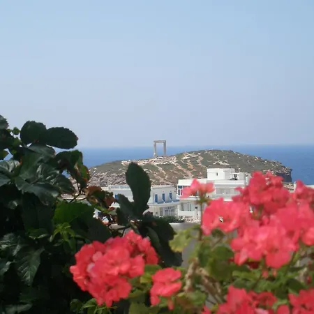 Chateau Zevgoli 호텔 Naxos City