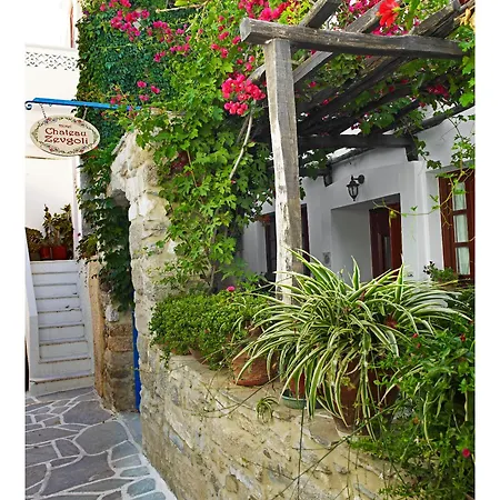 מלון Chateau Zevgoli Naxos City